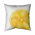 Begin Home Decor 20 x 20 in. Lemon Slice-Double Sided Print Indoor Pillow 5541-2020-GA75